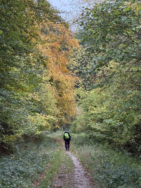 Autumn in North Dorset